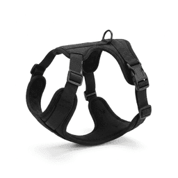 Standard padded harness