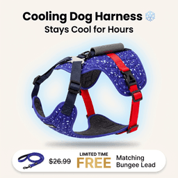 LEOLAB Cooling Dog Harness